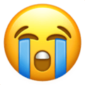 😭 on Apple
