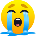 😭 on JoyPixels